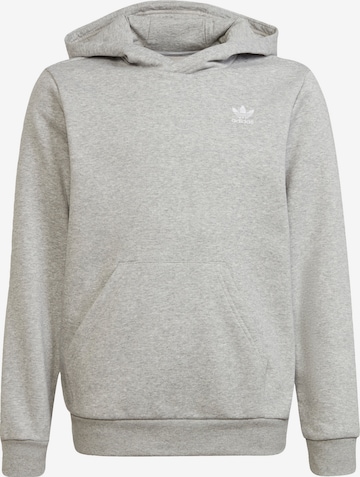 ADIDAS ORIGINALS Hoodie 'Adicolor' in Grau