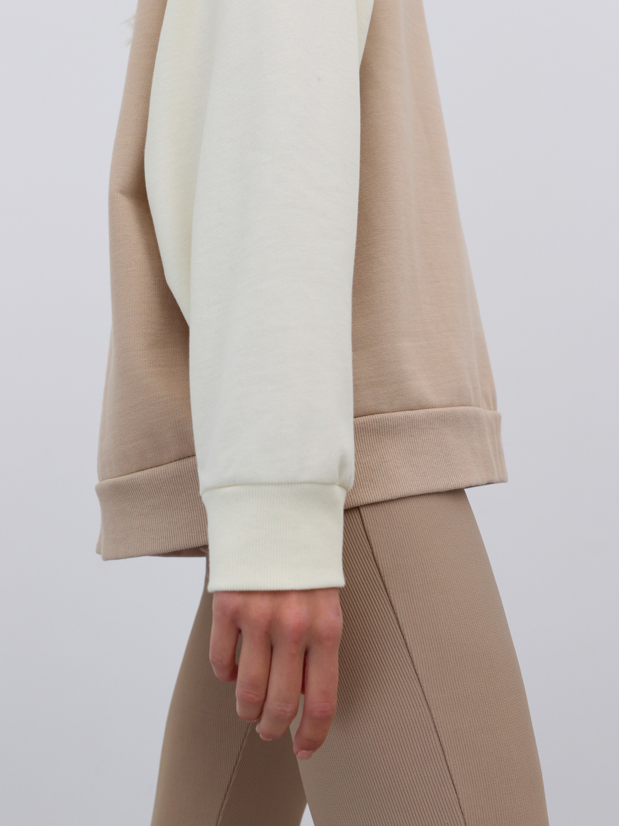 EDITED Produits Sweat-shirt 'Birthe' beige foncé