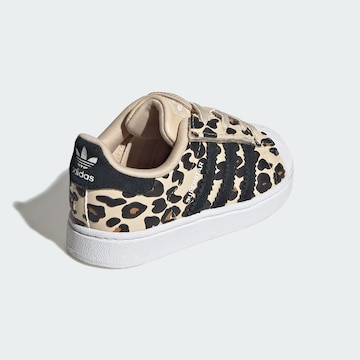 ADIDAS ORIGINALS Trainers 'SUPERSTAR II' in Beige