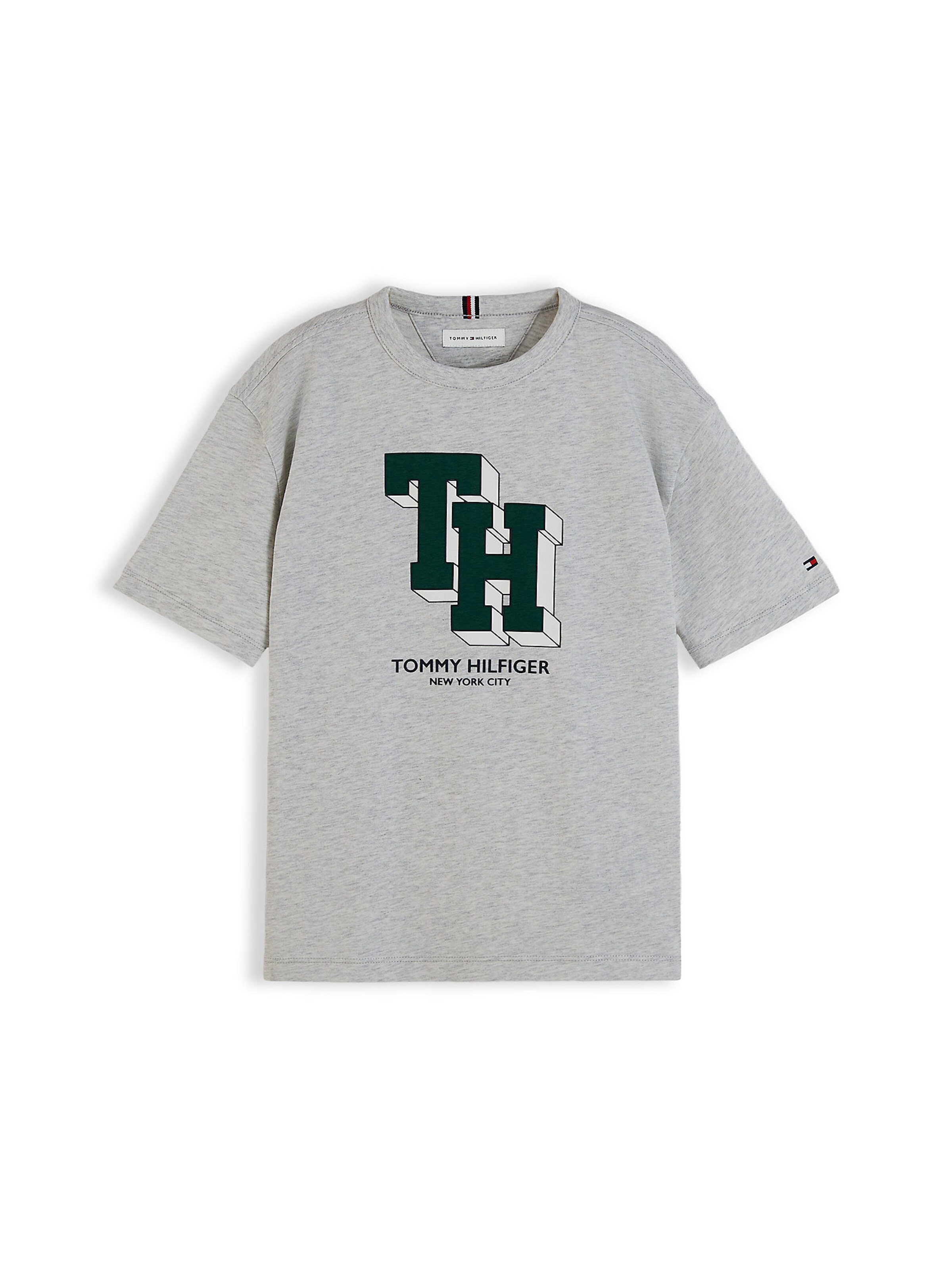TOMMY HILFIGER Shirt in Grey: front
