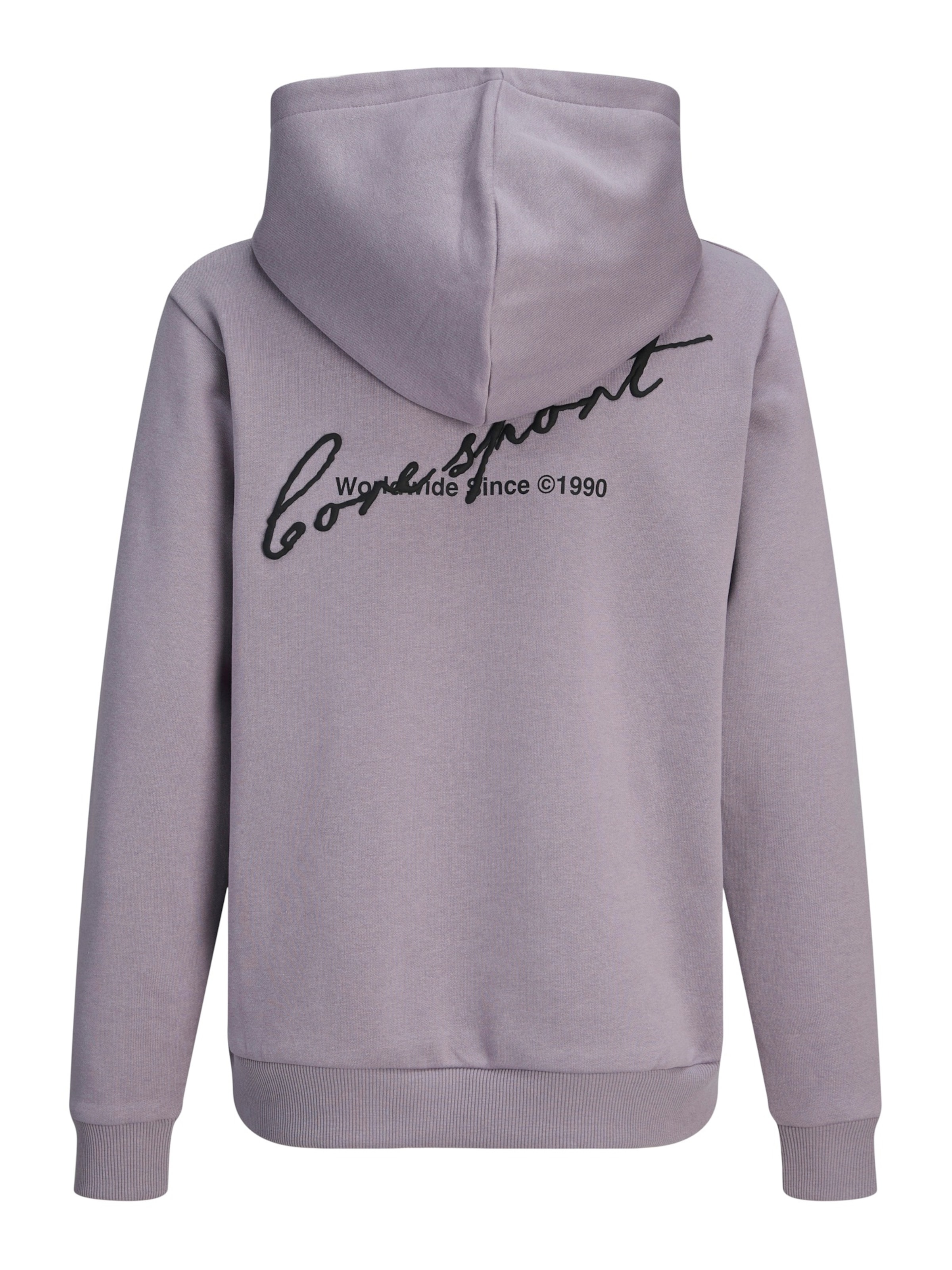 Jack & Jones Junior - Sudadera 'JCODust' en lila
