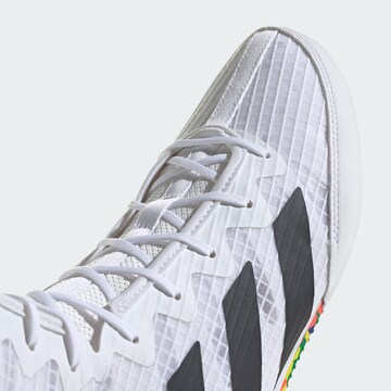 Chaussure de sport ' Box Hog 4' ADIDAS PERFORMANCE en blanc