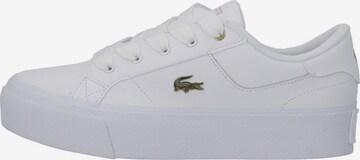 Sneaker bassa '47CFA0005' di LACOSTE in bianco