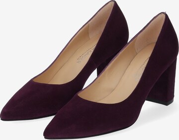 PETER KAISER Pumps in Lila