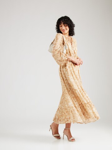 Robe & Other Stories en beige