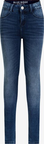 WE Fashion Skinny Jeans in Blue: front