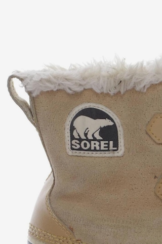 SOREL Stiefelette 40 in Beige