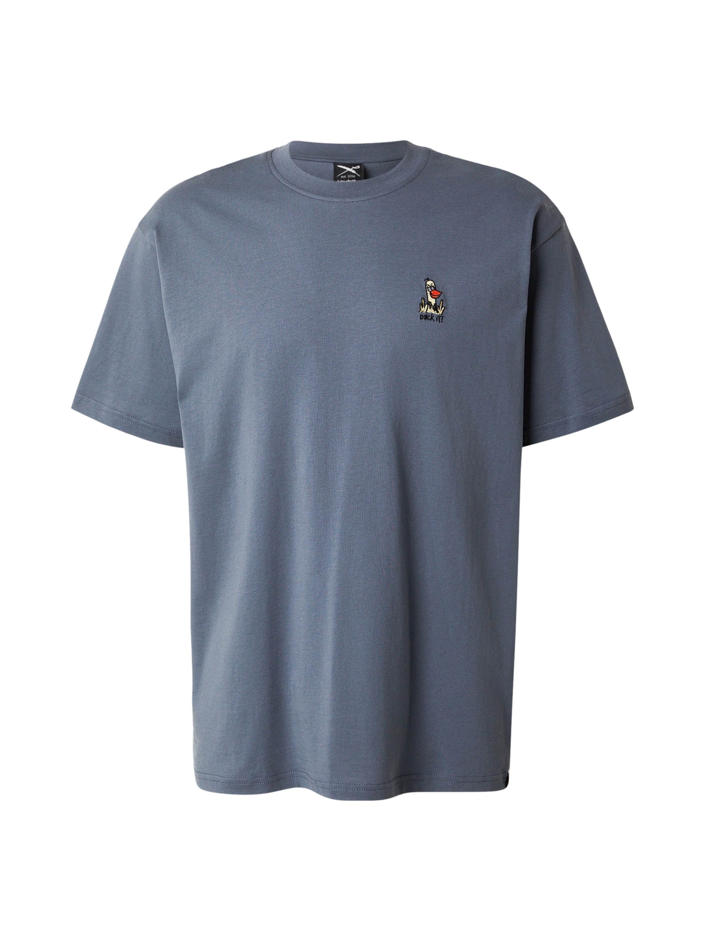 Iriedaily T-Shirt 'What The Duck' in Grau: Vorderseite