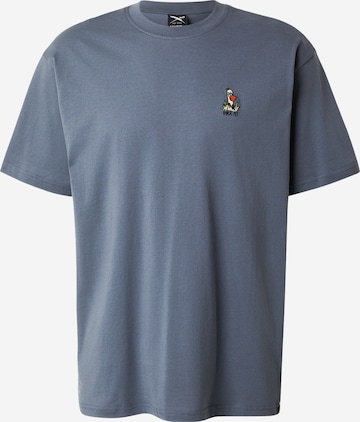 Iriedaily Shirt 'What The Duck' in Grey: front