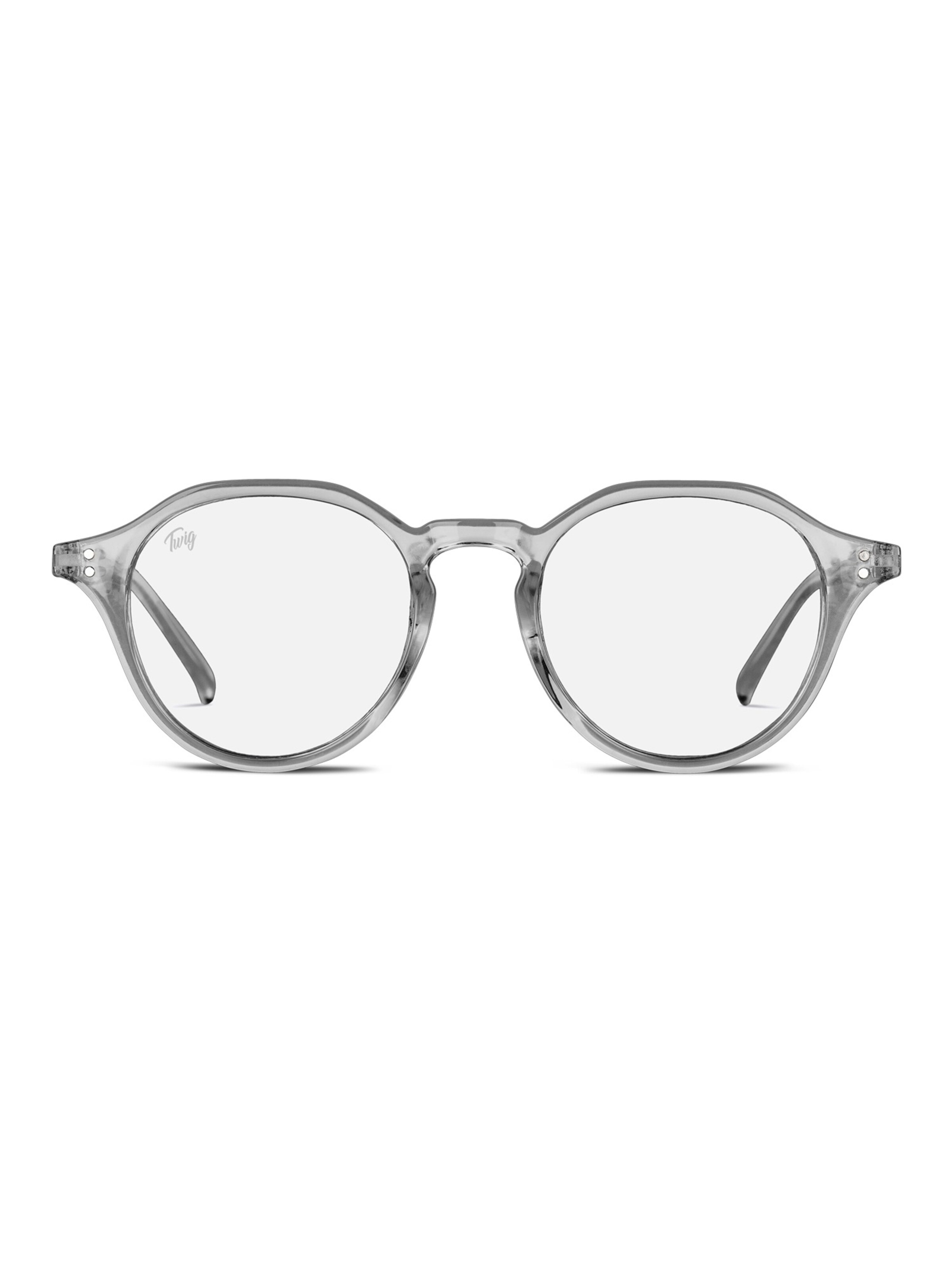 TWIG Concept Milano Glasses 'Langevin BlueLight' in Grey: front