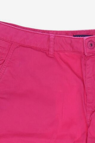 DARLING HARBOUR Shorts S in Pink