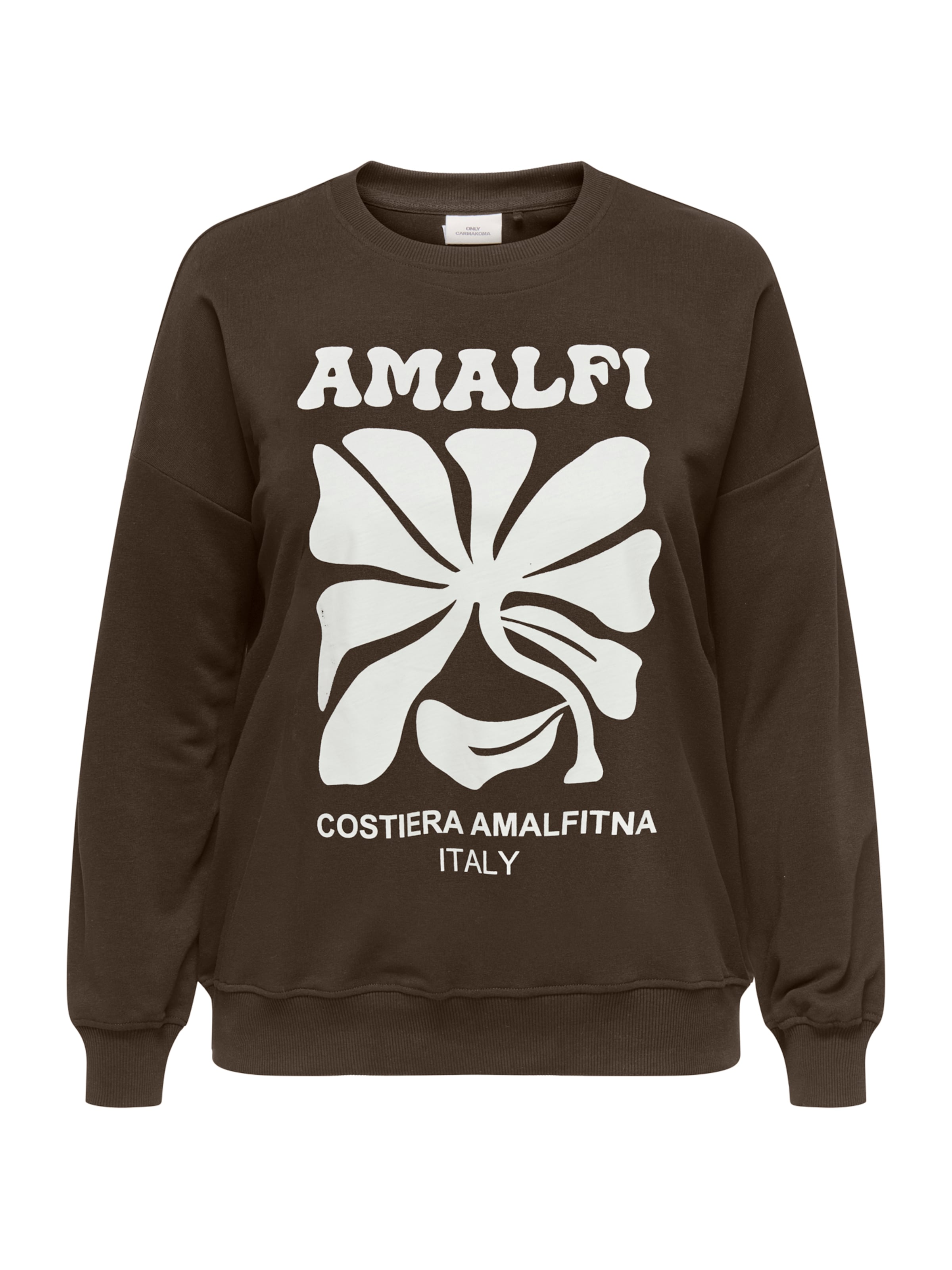 Sweat-shirt 'CAREsmara' ONLY Carmakoma en marron : devant