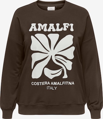 ONLY Carmakoma Collegepaita 'CAREsmara' värissä ruskea: etupuoli