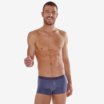 HOM Boxer shorts in Purple
