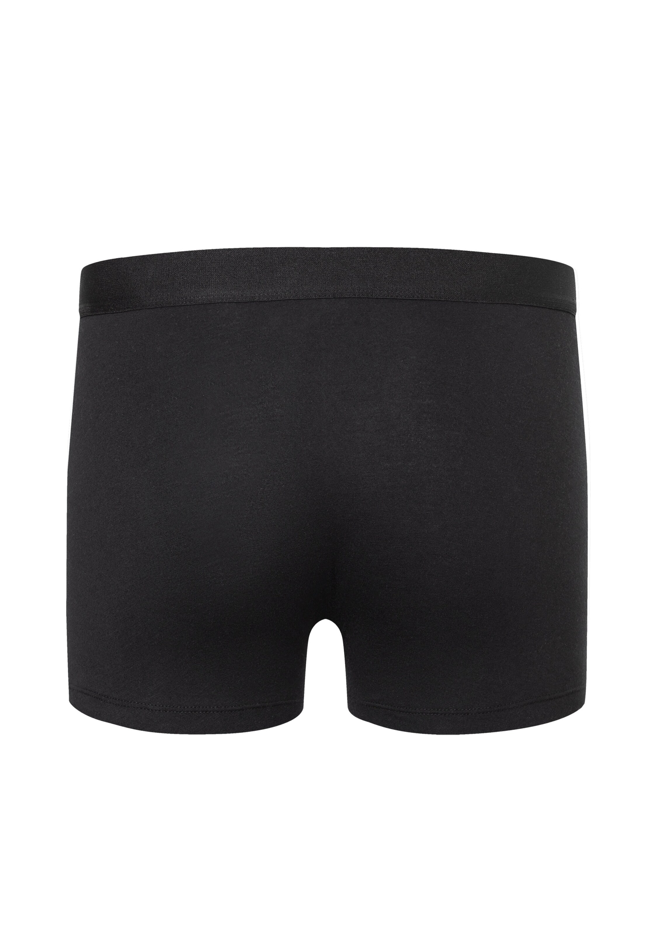 camano Boxer shorts in Black
