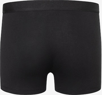 camano Boxershorts in Schwarz