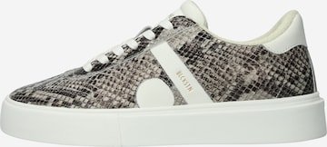 Baskets basses 'Quartz Auden EL280' BLACKSTONE en marron : devant