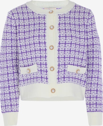 aleva Strickjacke in Mischfarben: Vorderseite