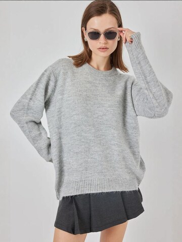 Bigdart Pulover 'Pullover' | siva barva