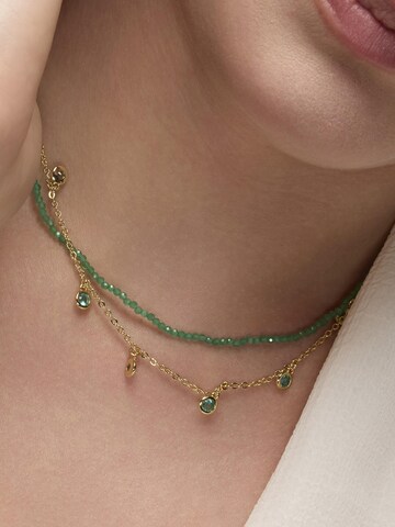 Chaîne 'Zaru' Luxenter en vert