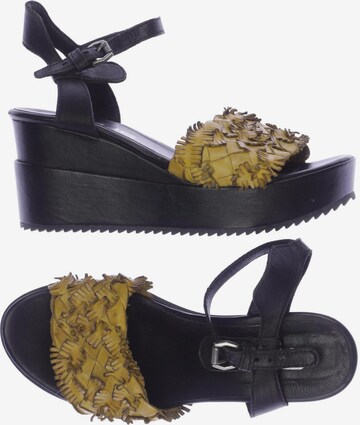 MJUS Sandals & High-Heeled Sandals in 38 in Black: front