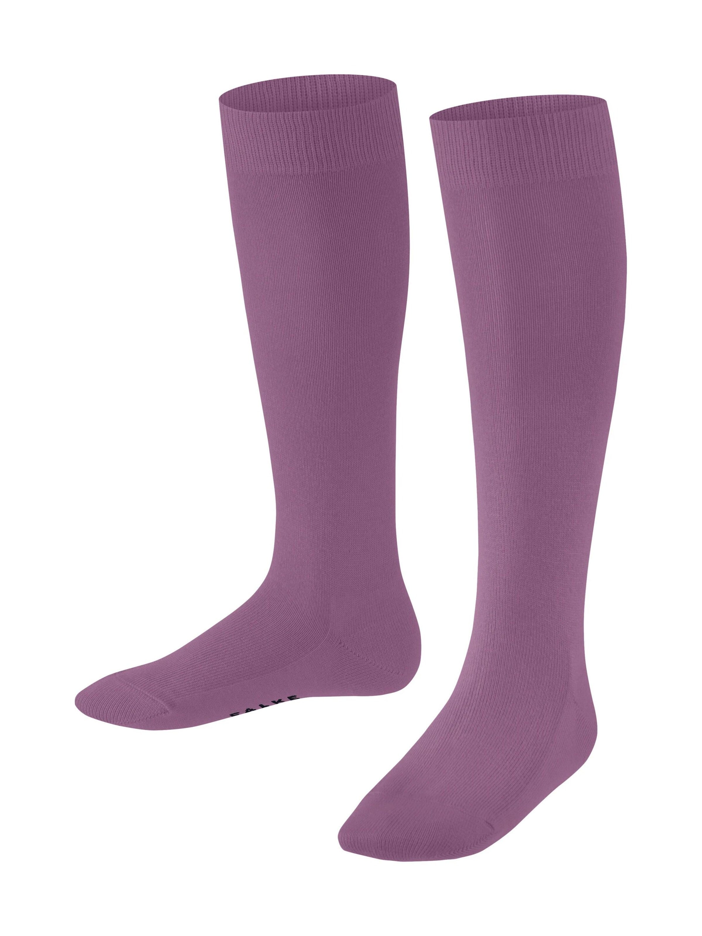 FALKE Socks 'Family' in Pink: front