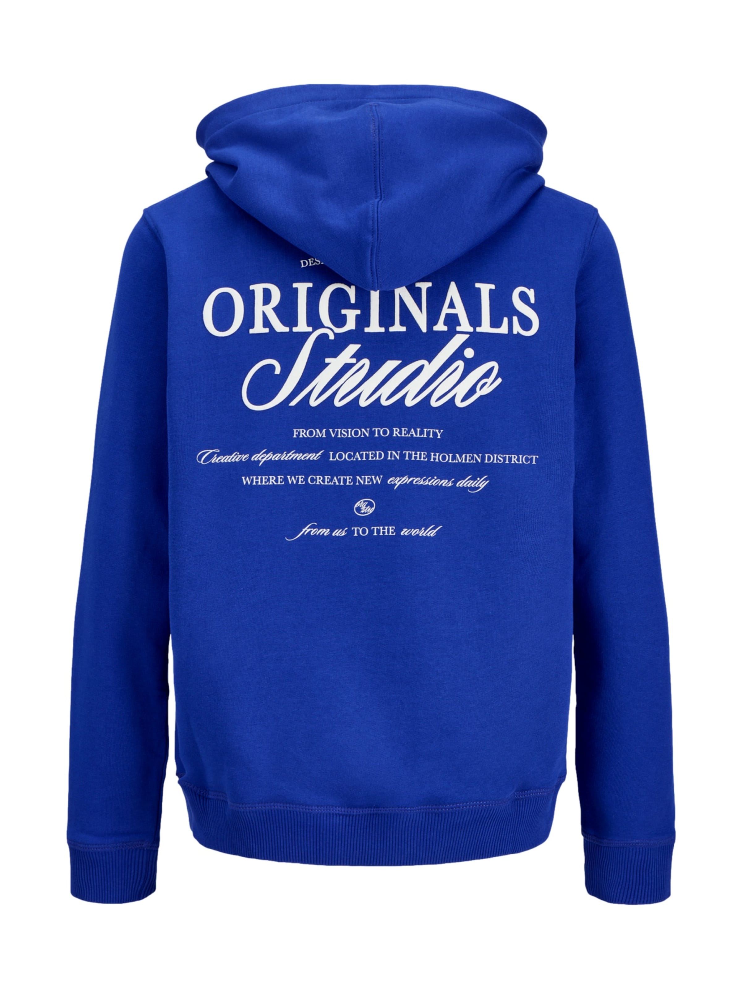 Bluză de molton 'JORNORREBRO' de la Jack & Jones Junior pe albastru