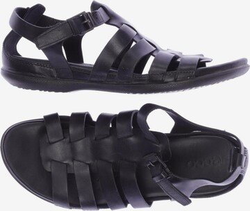 ECCO Sandals & High-Heeled Sandals in 39,5 in Black: front