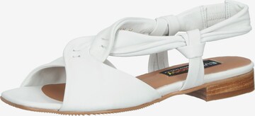 Everybody Sandals in White: front