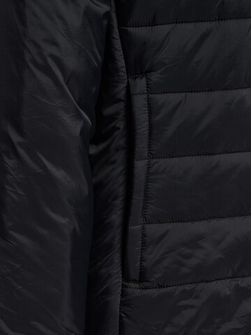 Hummel Зимняя куртка в Черный