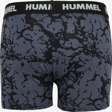 Hummel Unterhose 'Nolan' in Blau