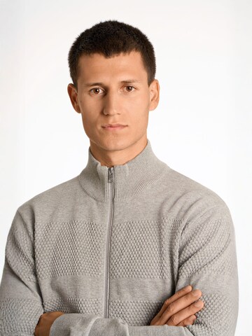 Giacchetta di Lindbergh in grigio