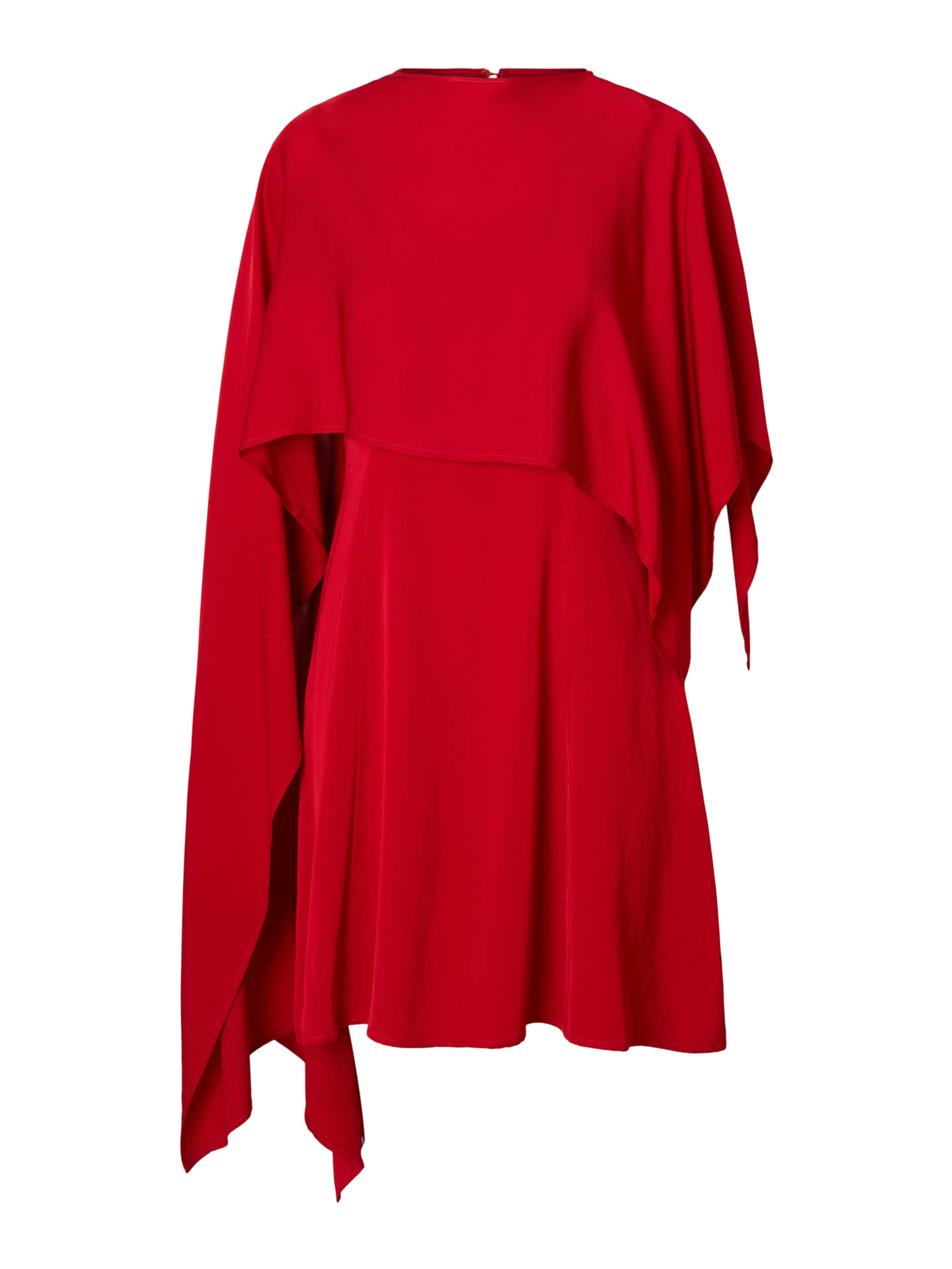 SELECTED Kleid 'SLFLEONORE' in Rot