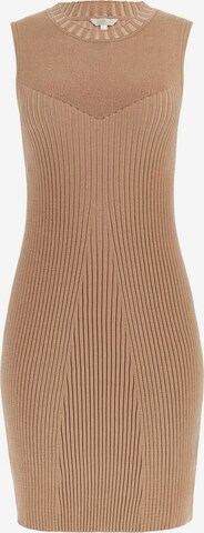 GUESS Dress in Brown: front