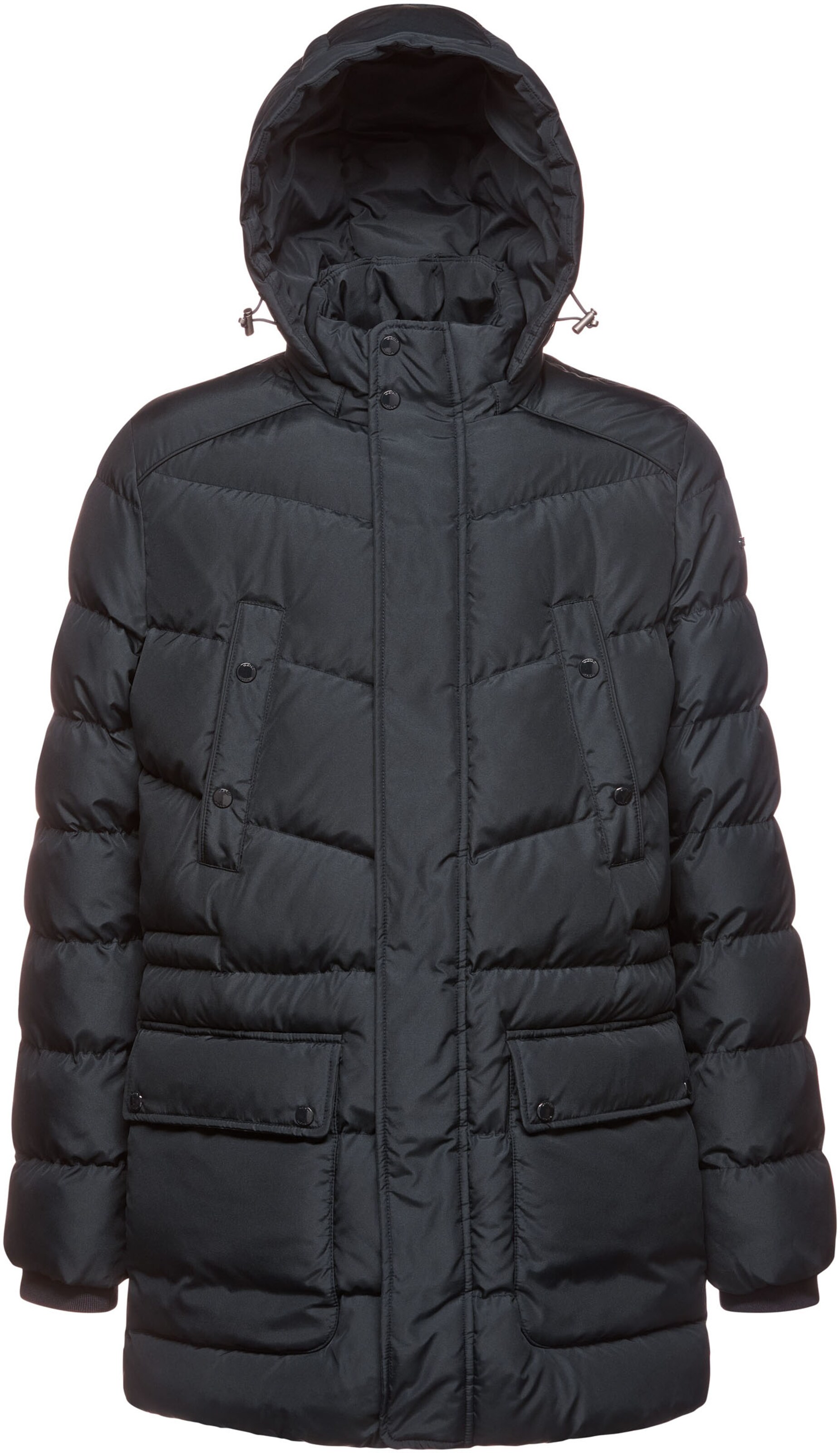 GEOX Winter Parka in Blue: front