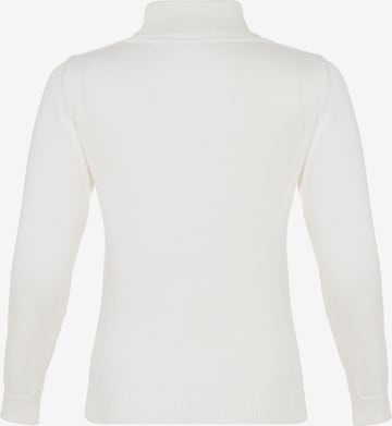 CIPO & BAXX Sweater in White