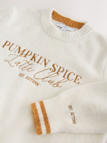 Next - Jersey en blanco