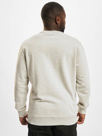 DICKIES Sweatshirt 'Aitkin' in Grijs