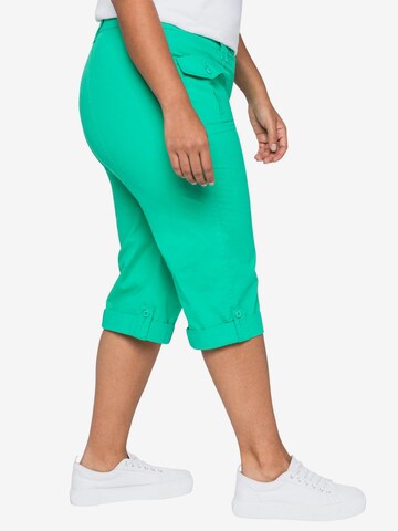 SHEEGO Regular Pants in Green