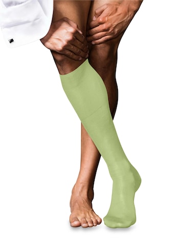 FALKE Kniestrümpfe 'No. 9 Pure Fil d´Écosse' in Gelb: Vorderseite