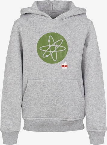 F4NT4STIC Sweatshirt in Grau: predná strana