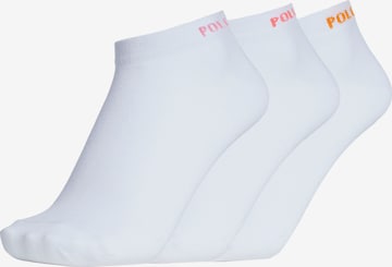 Polo Sylt Socken in Weiß: predná strana