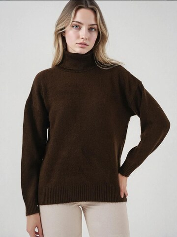 Pull-over Bigdart en marron : devant