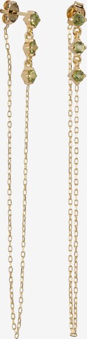 Ana Dyla Ohrringe in Gold: front