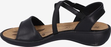 Westland Sandals 'Ibiza' in Black