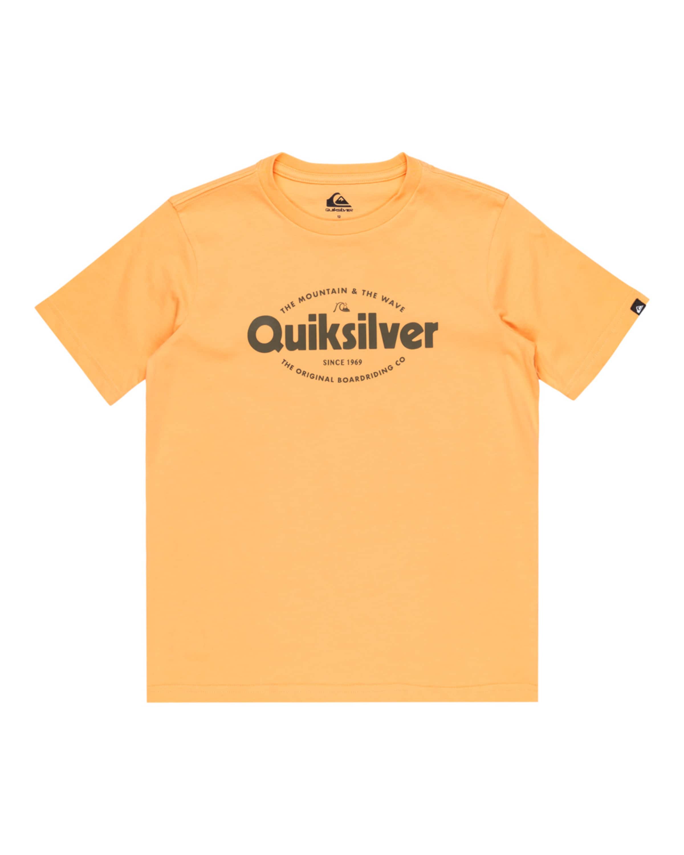 T-Shirt 'Ev Shape All Days' QUIKSILVER en jaune : devant
