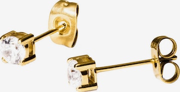 PURELEI Ohrringe 'Pristine Klein' in Gold: Vorderseite