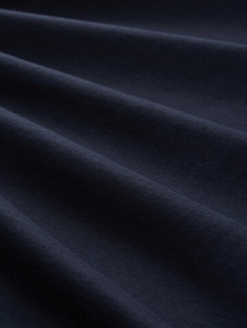 TOM TAILOR Shirt in Blue