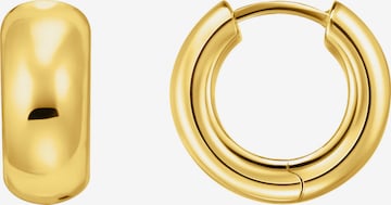 Thomas Sabo Ohrringe in Gold: Vorderseite