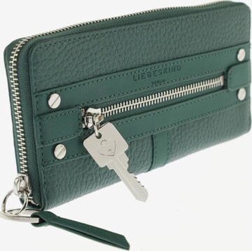 Liebeskind Berlin Small Leather Goods in One size in Green: front